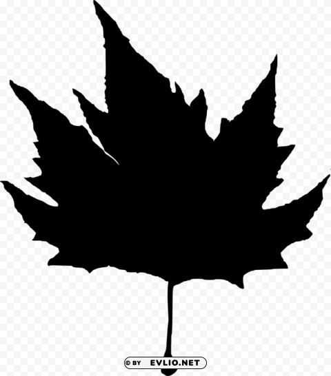 Leaf Silhouette Isolated Subject with Clear PNG Background