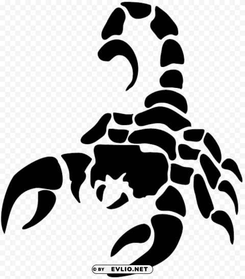 scorpion Clear Background PNG Isolated Element Detail clipart png photo - d8434bc8