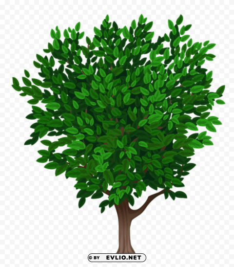 tree transparentpicture Free download PNG with alpha channel extensive images