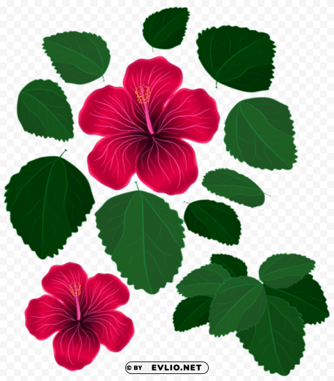 flower and leaves for decorations Transparent PNG graphics bulk assortment