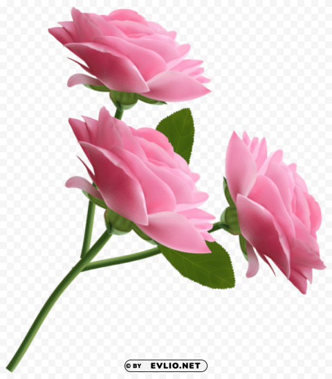 Pink Roses High-resolution Transparent PNG Files