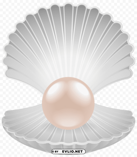 clam with pearl PNG transparent design diverse assortment