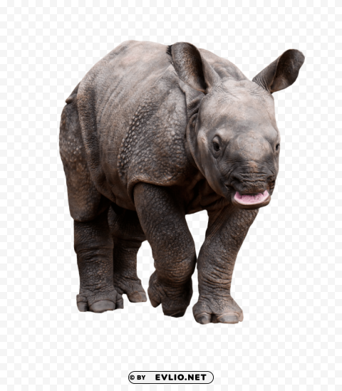 retarded rhino Isolated Character with Transparent Background PNG