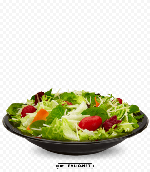 salad free download Transparent background PNG gallery