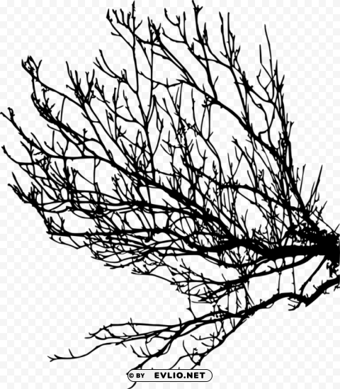 tree branches silhouette Isolated Artwork on Clear Background PNG