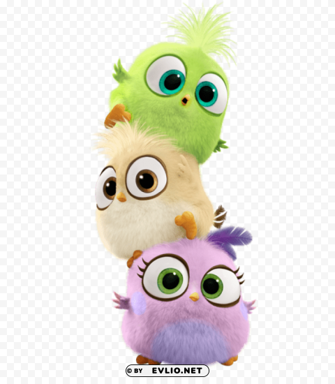 angry birds movie bird hatchlings PNG images free