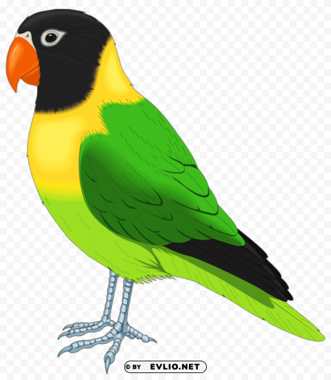 green and yellow bird Isolated Character in Transparent PNG Format