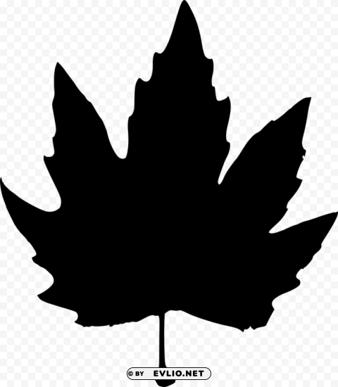 Leaf Silhouette Isolated Subject with Clear Transparent PNG