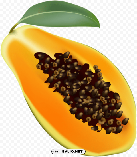 papaya Transparent PNG Isolated Item with Detail