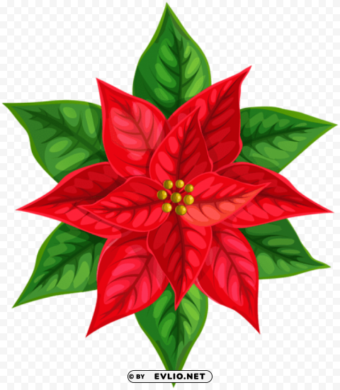 red christmas poinsettia Transparent Background Isolated PNG Art
