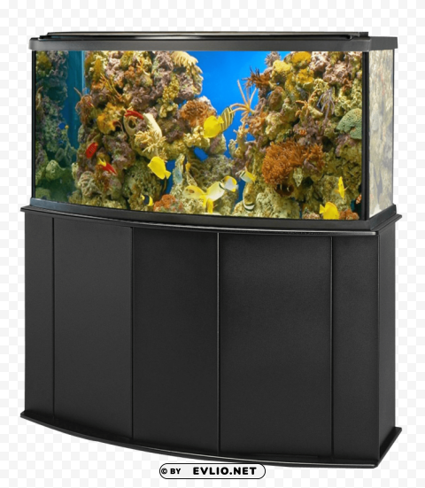 aquarium fish tank PNG transparency