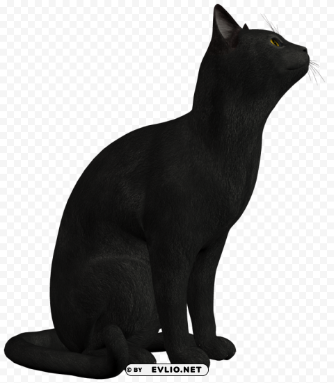 black cat Free PNG download no background png images background - Image ID daae16fb