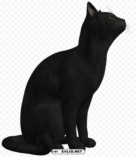 black cat PNG Graphic Isolated with Transparency clipart png photo - 8cea6d54