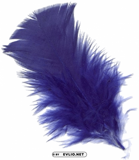 feather PNG with Clear Isolation on Transparent Background