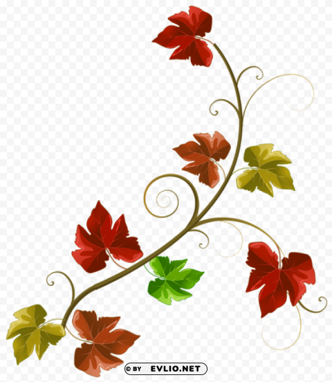 autumn leaves decoration Transparent background PNG artworks