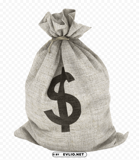 Transparent Background PNG of money bag PNG images for websites - Image ID e505a00c