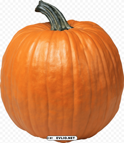 pumpkin PNG without watermark free