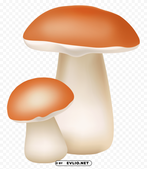 two mushrooms cliaprt Isolated Design Element in HighQuality Transparent PNG