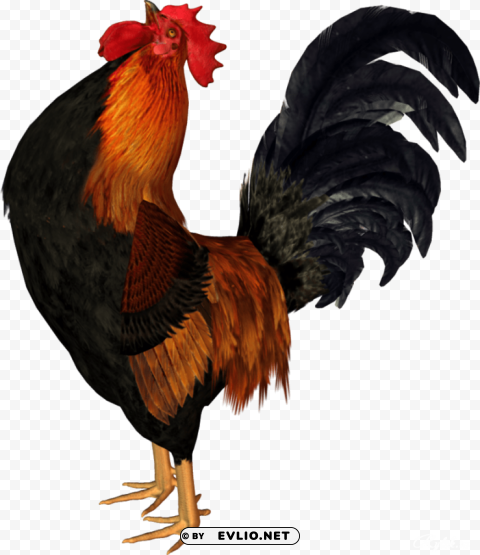 cock High-definition transparent PNG png images background - Image ID f1b7b1b7