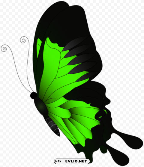 green flying butterfly Isolated Element in Transparent PNG