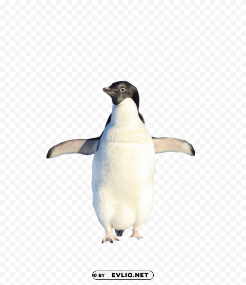 penguin standing Isolated Design Element in PNG Format png images background - Image ID 58348c88