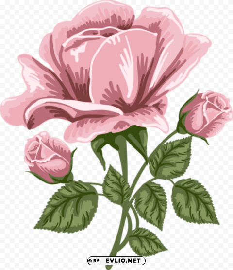 Pink Rose Art Free Transparent PNG