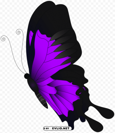 purple flying butterfly Isolated Graphic on Clear Transparent PNG clipart png photo - 68fdf6a2