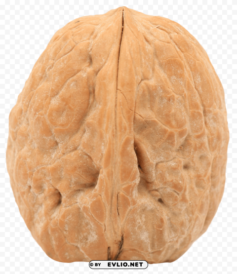 Single Walnut PNG Graphic with Isolated Transparency