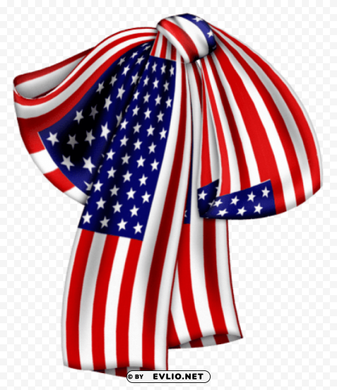 usa bow Transparent Background Isolated PNG Icon