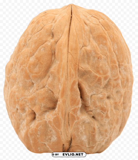 Walnut Isolated Subject On HighQuality Transparent PNG