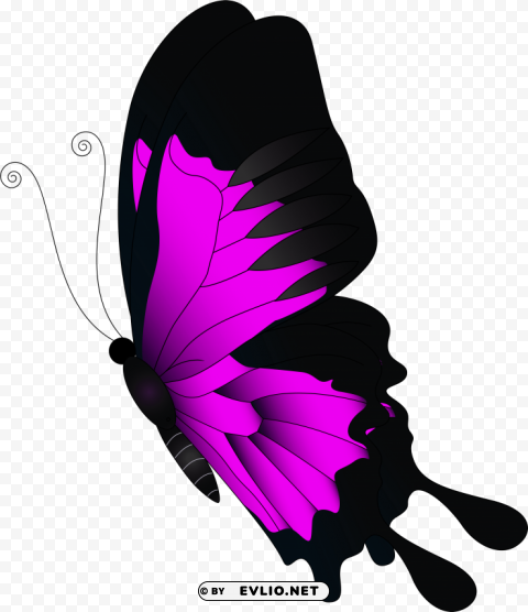 Flying Butterfly Transparent PNG Isolated Item With Detail