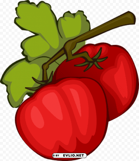 tomato Transparent PNG Isolated Graphic Element PNG transparent with Clear Background ID d61ed471