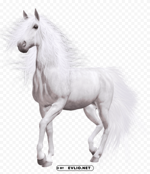 white horse PNG Image with Transparent Isolated Graphic Element clipart png photo - 53df8b09