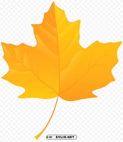 yellow leaf PNG images with no royalties