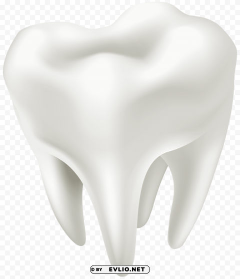 3d white tooth PNG transparent pictures for projects