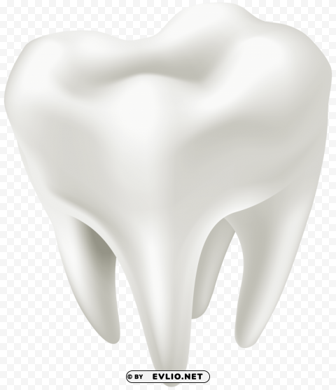 3d White Tooth PNG Transparent Pictures For Projects