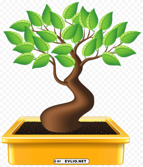 bonsai PNG images with alpha transparency wide collection