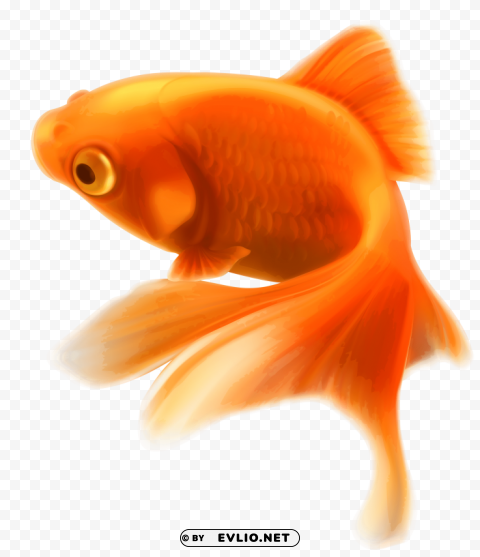 Gold Fish Transparent Background Isolated PNG Figure