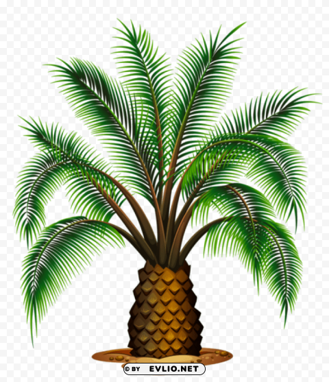 small palm tree picture Isolated Element in HighResolution Transparent PNG