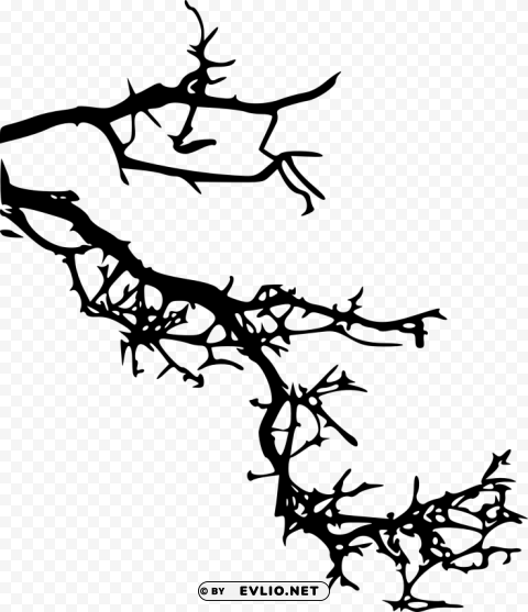 tree branch Isolated Design Element in HighQuality PNG