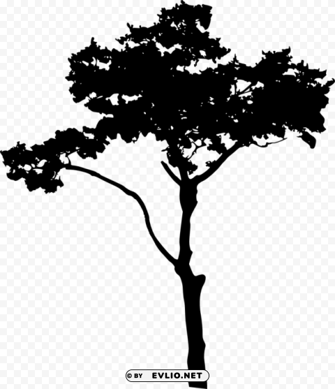 Tree Silhouette Transparent Background PNG Object Isolation