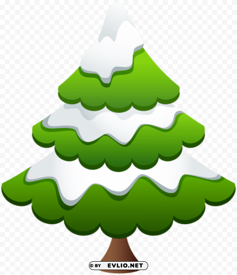 winter pine tree PNG format with no background