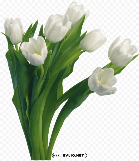 bouquet of flowers Transparent Background PNG Isolated Character