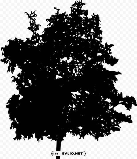 tree silhouette Isolated PNG Element with Clear Transparency