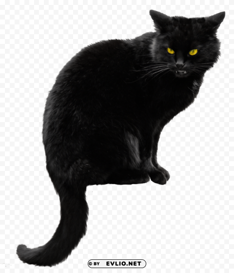 black cat file Free download PNG images with alpha transparency