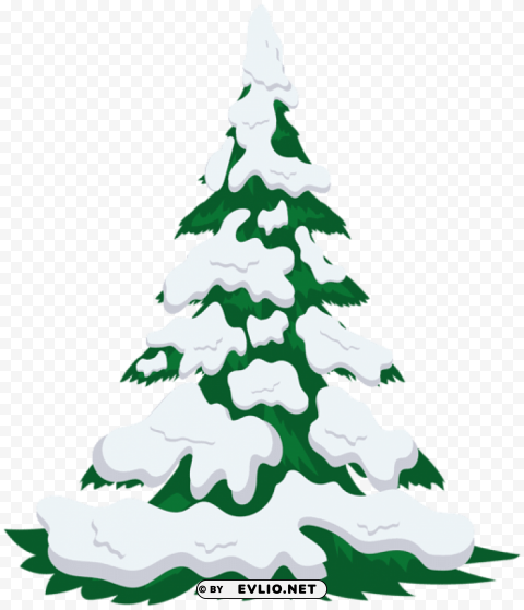 snowy tree PNG files with clear background variety