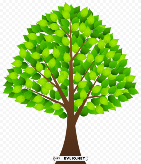 tree with green leaves transparent HighQuality PNG Isolated Illustration