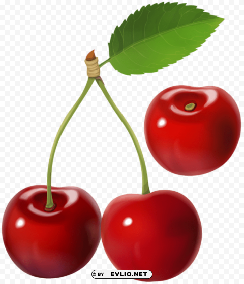 cherry PNG transparent elements compilation