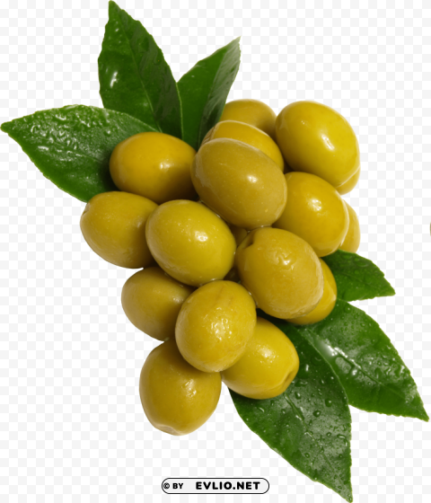 olives PNG Image with Transparent Cutout
