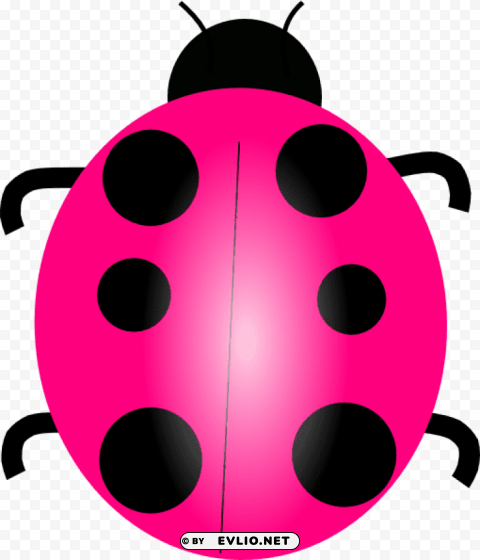 pink ladybug PNG images without restrictions